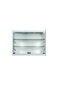 Wall Display Cabinet